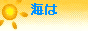�C�͍D���ł����H