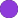 紫-Purple